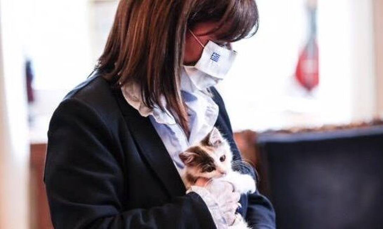 Κατερίνα Σακελλαροπούλου: Υιοθέτησε ένα πανέμορφο γατάκι