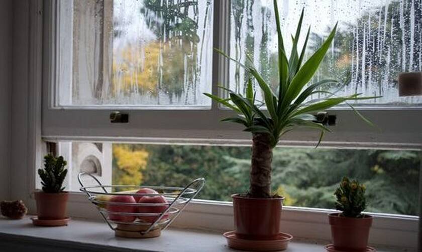 Πέντε συμβουλές για να είναι το σπίτι μας ζεστό και ο αέρας του καθαρός όλο τον χειμώνα