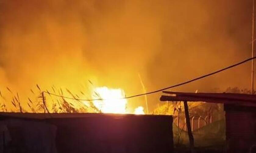 Φωτιά - Αχαΐα: Κινδυνεύουν σπίτια και εγκαταστάσεις με ζώα (vid)