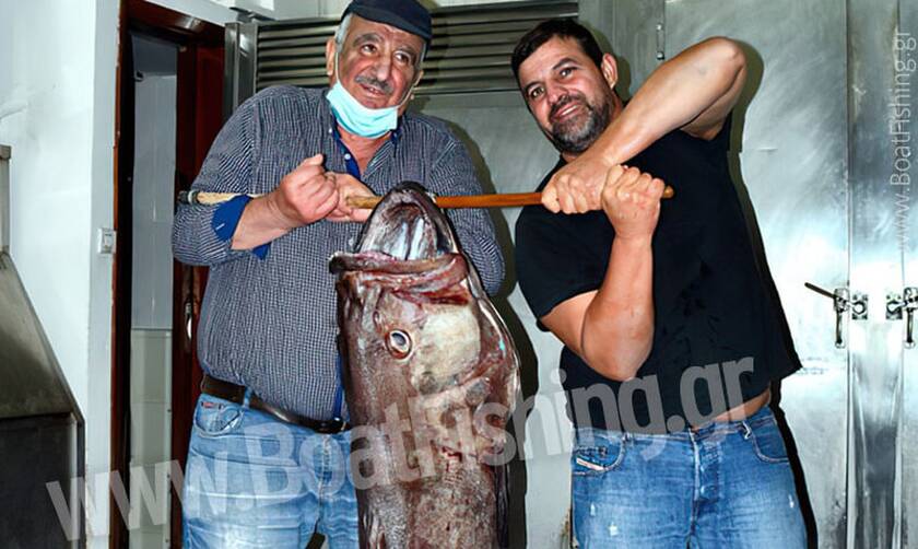 Εύβοια: Εντυπωσιακή ψαριά - Ψαράς έπιασε βλάχο 45 κιλών στο παραγάδι 