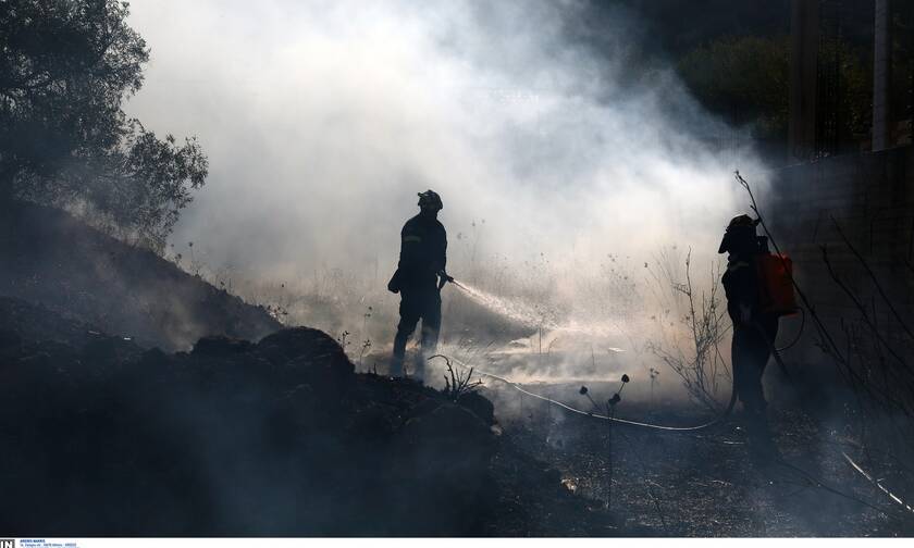 Τραγωδία στη Μάνη: Κάηκε ζωντανή, ενώ προσπαθούσε να κάψει χόρτα