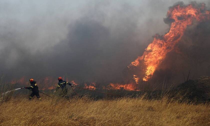 Μεγάλη φωτιά στον Πάρνωνα – Επιχειρούν 81 πυροσβέστες