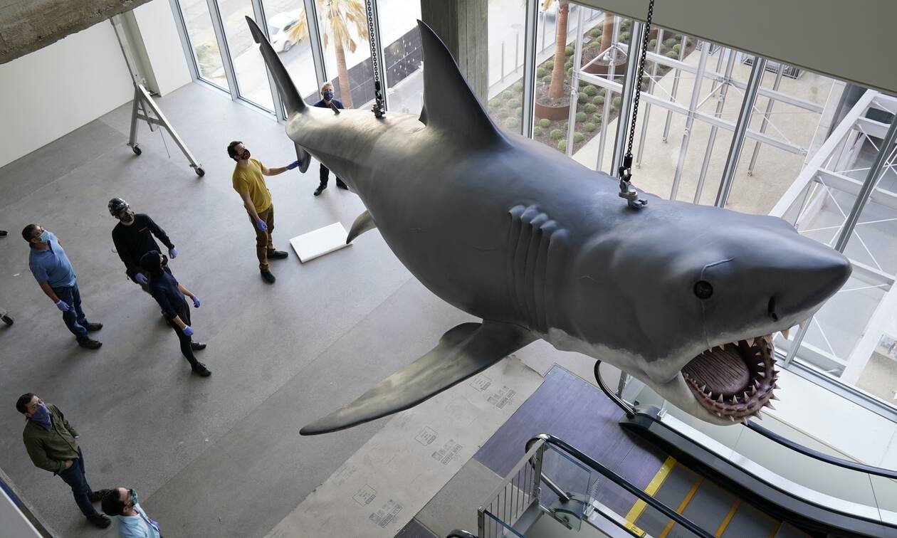 Ο καρχαρίας του Jaws έχει όνομα και σε λίγους μήνες θα βρίσκεται σε μουσείο