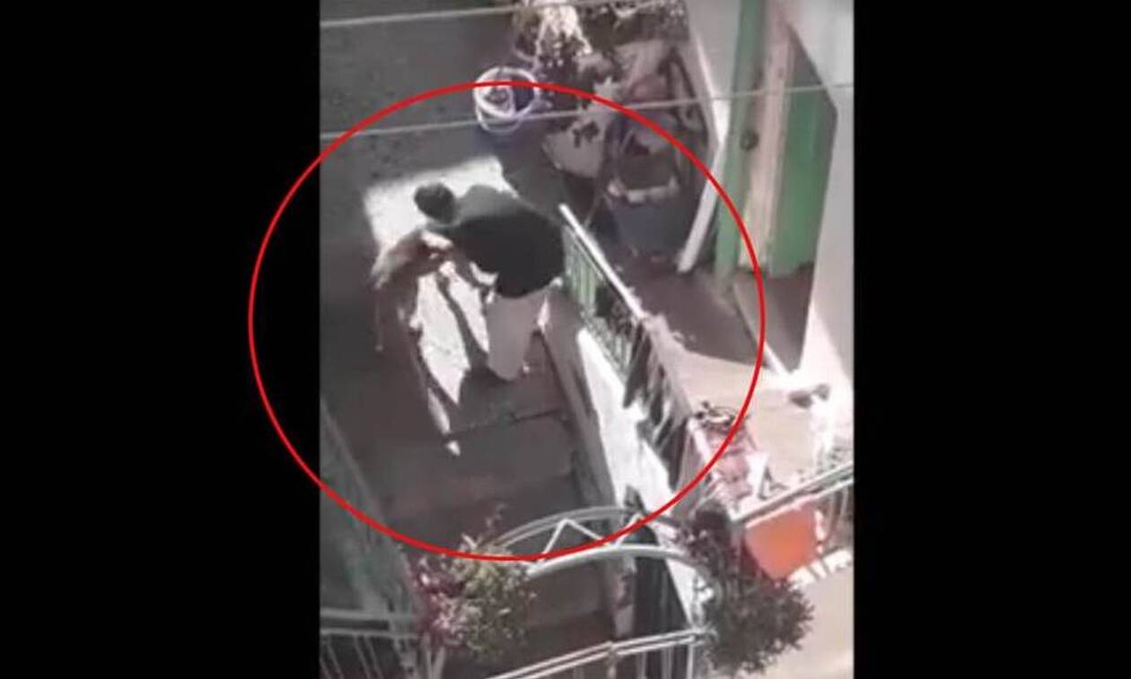 Κρήτη: Σοκαριστικό βίντεο - Ηλικιωμένη χτυπάει βάναυσα το σκυλί του γιου της