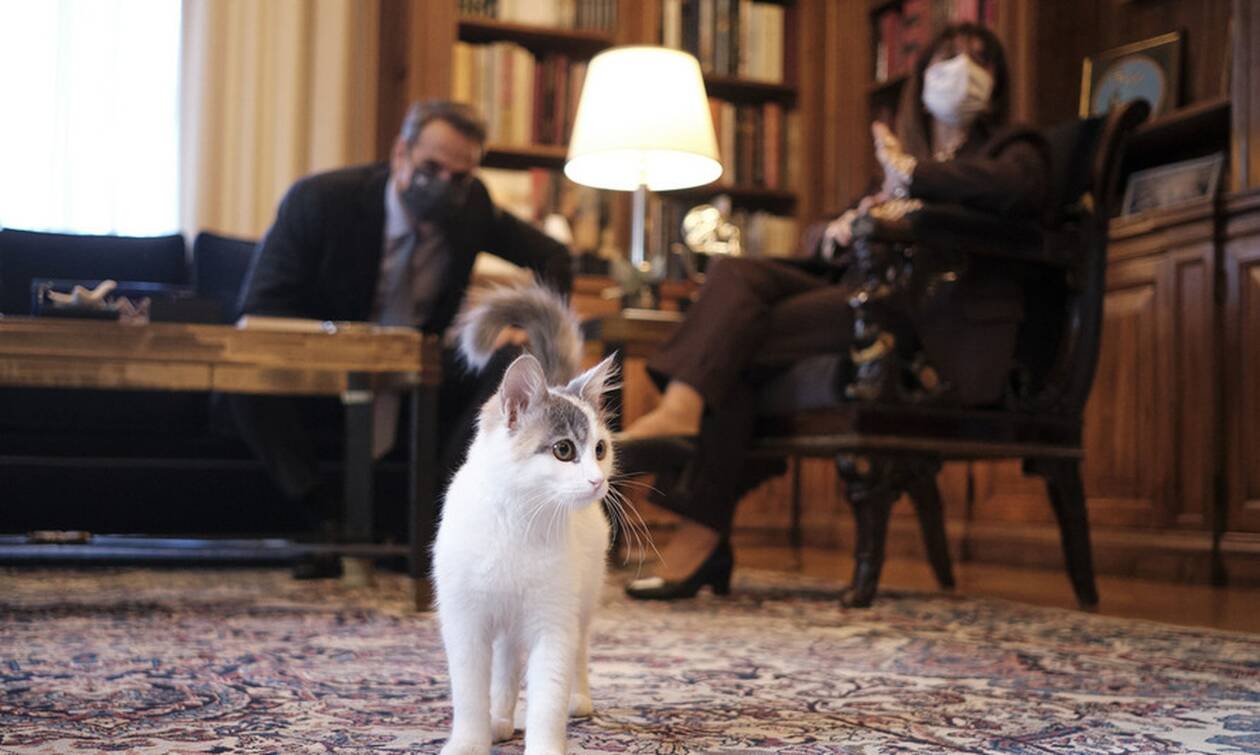 Όταν ο Πρωθυπουργός γνώρισε τη γάτα της Προέδρου της Δημοκρατίας
