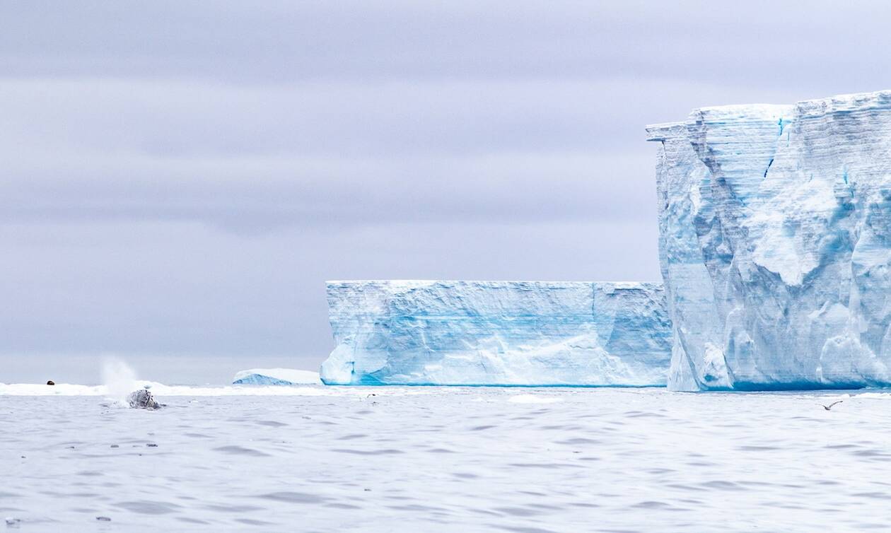Διαλύεται το μεγαλύτερο παγόβουνο του κόσμου - Σε κίνδυνο η άγρια ζωή στην Ανταρκτική