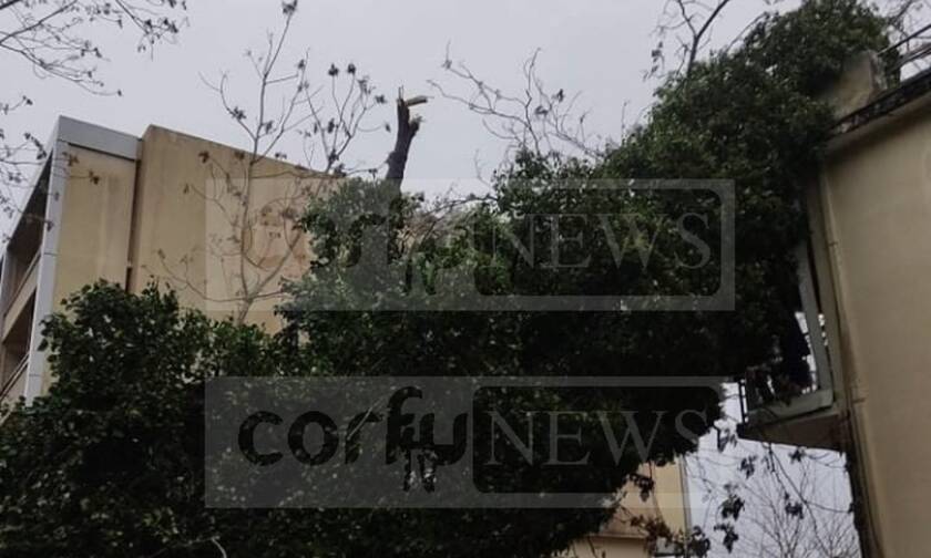 Σφοδρή κακοκαιρία «σφυροκοπά» την Κέρκυρα: Ξεριζώθηκαν δέντρα, ζημιές σε σπίτια 