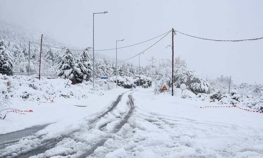 «Ντύθηκαν στα λευκά» τα Τρίκαλα - Χιονίζει στα ορεινά