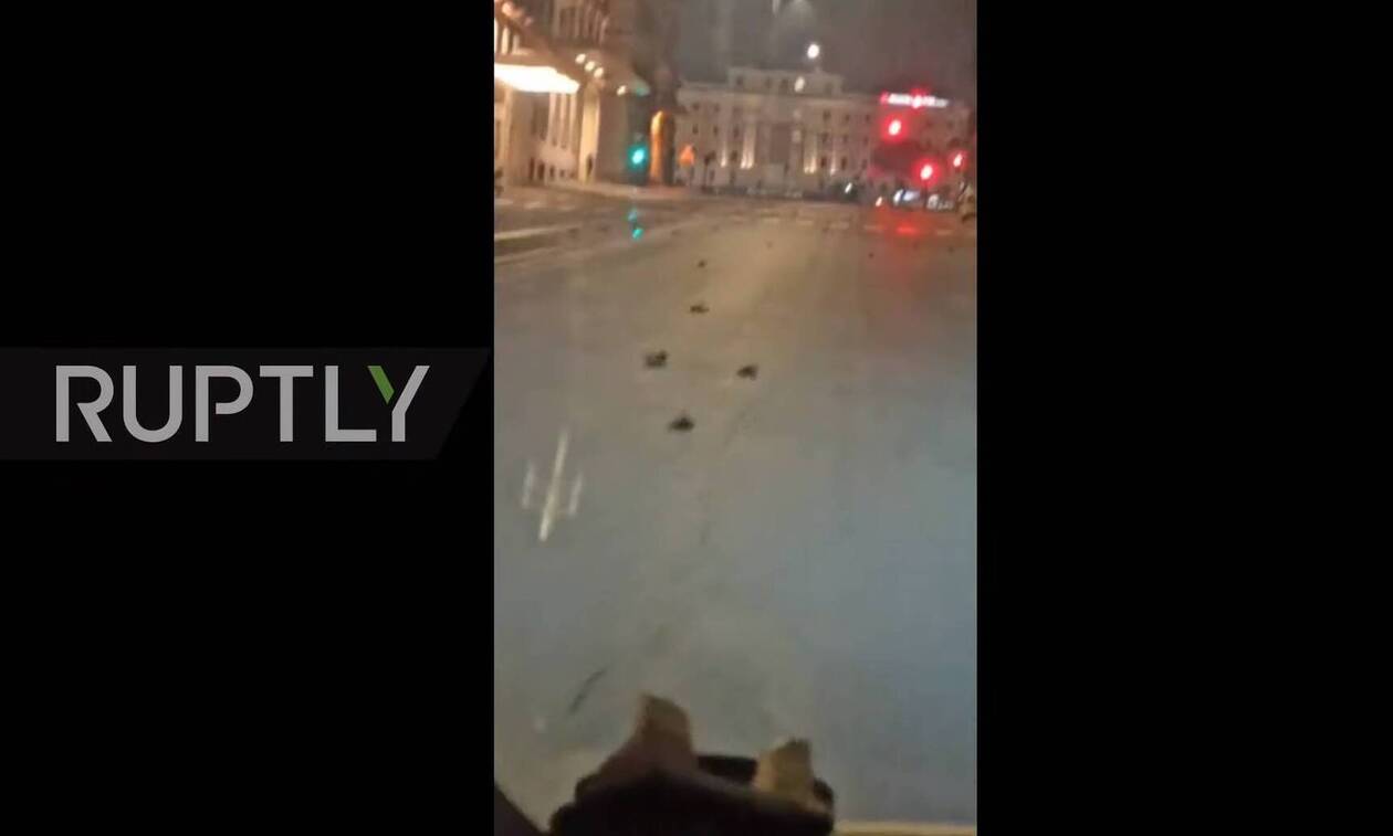 Ιταλία: «Σφαγή» στη Ρώμη - Εκατοντάδες νεκρά πουλιά στους δρόμους της πόλης (vid)