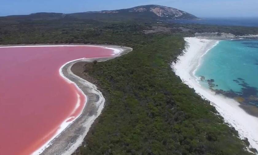 Λίμνη Hillier: Ο ροζ «θησαυρός» της Αυστραλίας