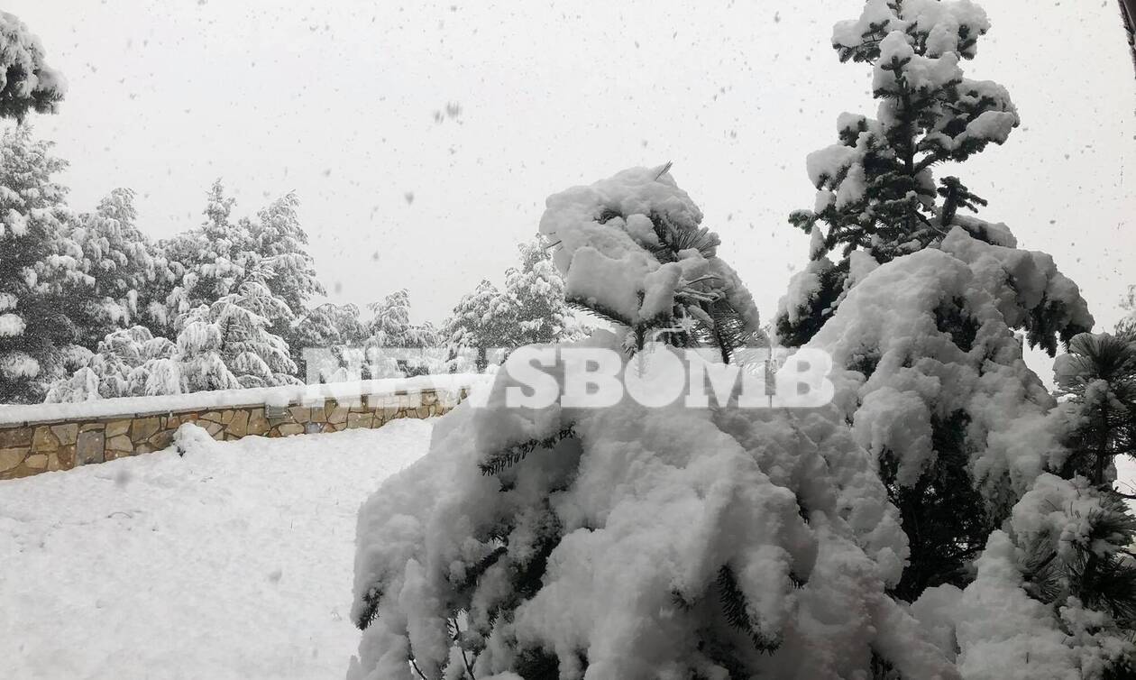 Ρεπορτάζ Newsbomb.gr - Κακοκαιρία «Λέανδρος»: Ο χιονιάς σαρώνει τη Μαλακάσα