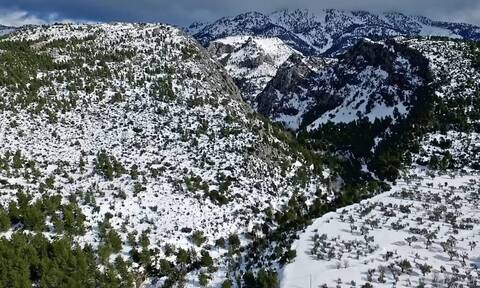 Η χιονισμένη Εύβοια από ψηλά - Μαγικές εικόνες από το όρος Δίρφυς (video)