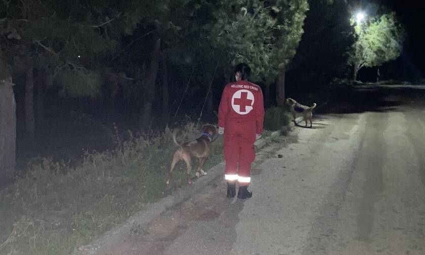 «Υπηρεσία περιπάτου για Ζώα Συντροφιάς» από τον Ελληνικό Ερυθρό Σταυρό 