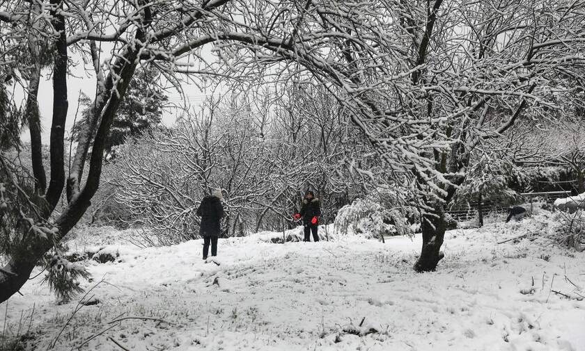 Κακοκαιρία: Έρχεται τριήμερος χιονιάς από το Σάββατο - Πού θα χιονίσει