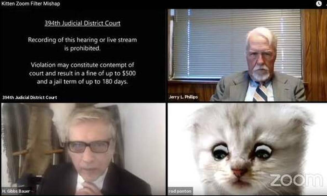 Απίστευτο βίντεο: Δικηγόρος «μεταμορφώθηκε» μπροστά στον δικαστή - «Συγγνώμη δεν είμαι γάτα»
