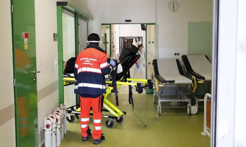 Κορονοϊός: Συναγερμός για στέλεχος του ιού που βρέθηκε σε εκτροφείο βιζόν στην Πολωνία