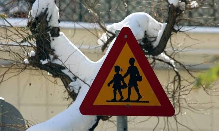 Κλειστά σχολεία αύριο (17/02): Τηλεκπαίδευση στα σχολεία που δεν θα λειτουργήσουν λόγω «Μήδειας»