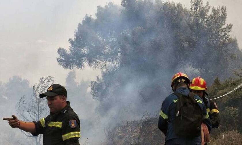 Καλαμάτα: Φωτιά στην περιοχή Νέδουσα
