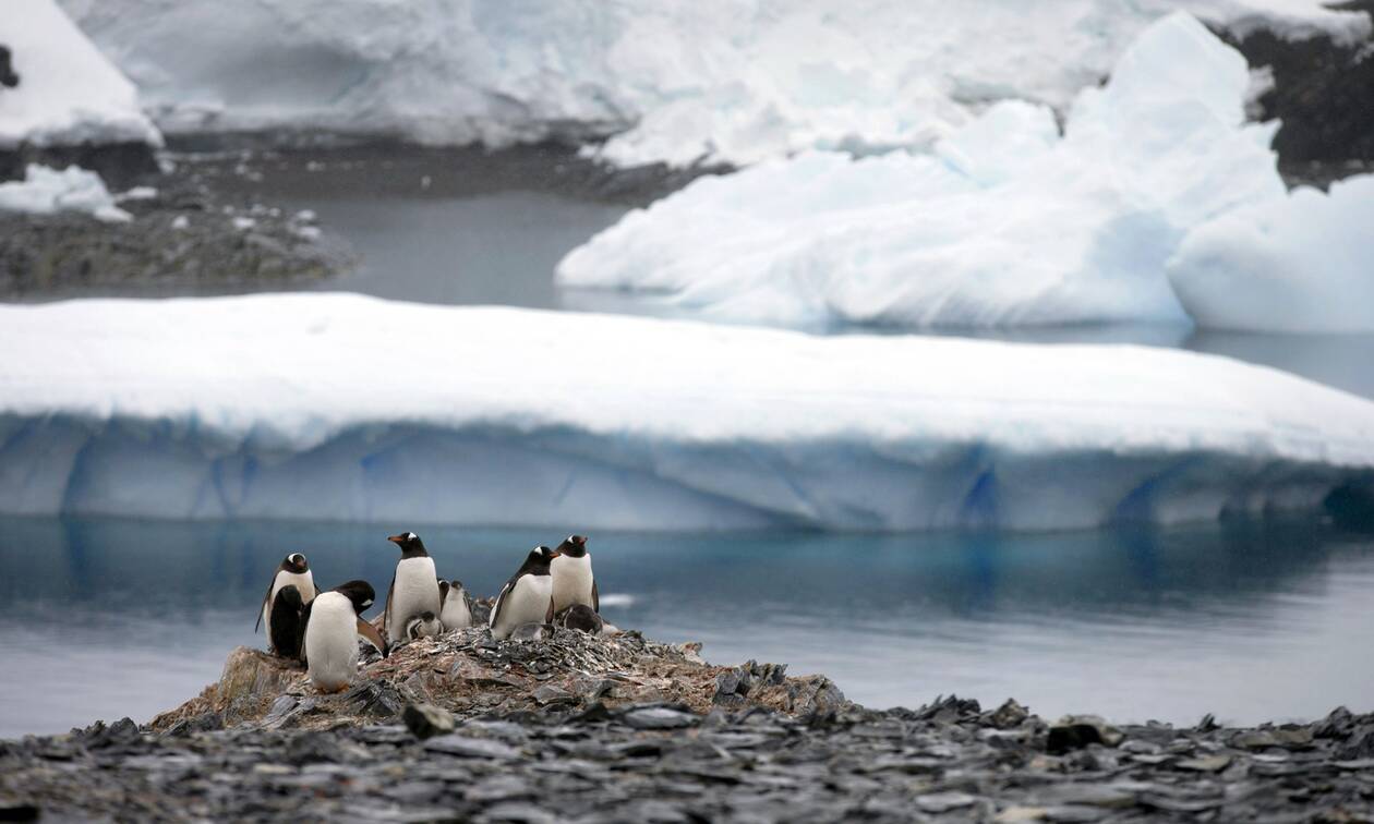 Κορονοϊός: Τα εμβόλια «έφθασαν» στην Ανταρκτική