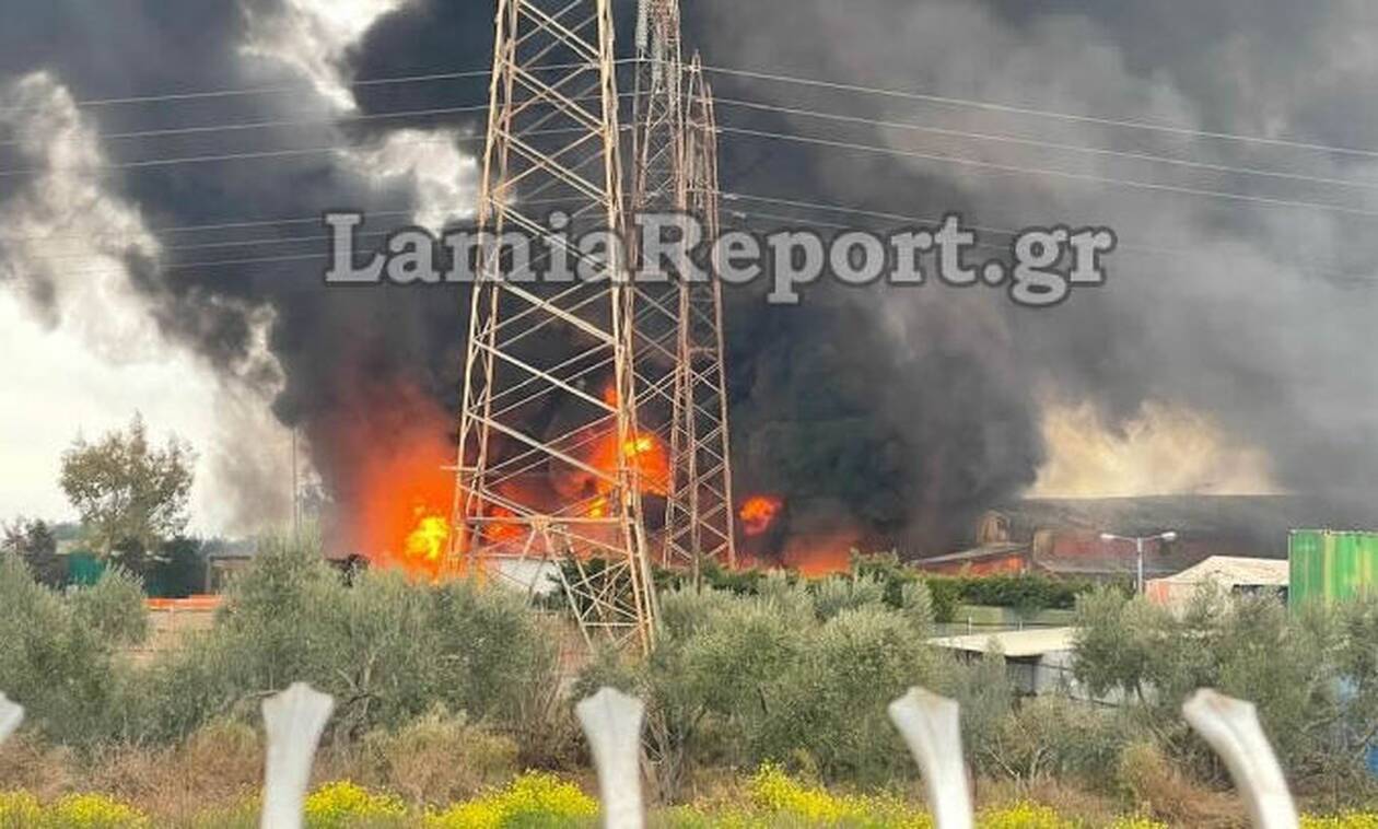 Φωτιά Σχηματάρι: Ενισχύθηκαν οι πυροσβεστικές δυνάμεις – Με εγκαύματα ο ιδιοκτήτης του εργοστασίου