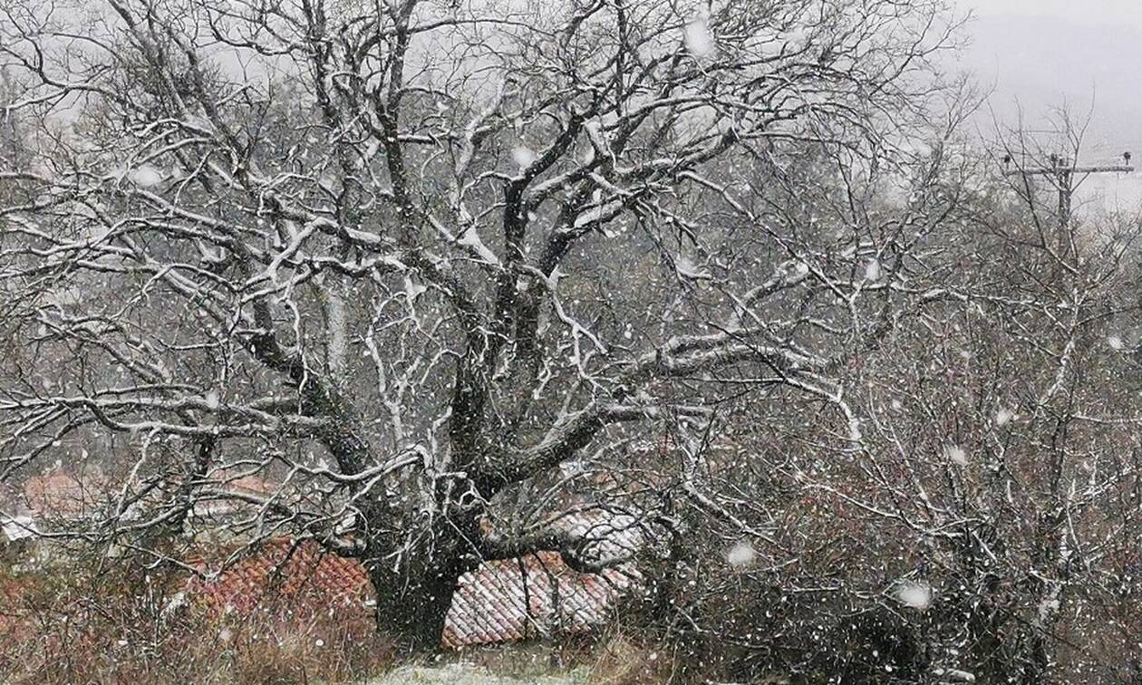 ΤΩΡΑ: Χιονίζει στα ορεινά της Θεσσαλονίκης