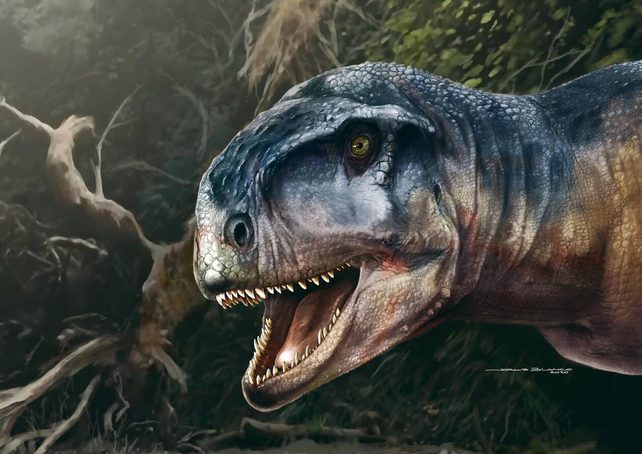 «Αυτός που προκαλεί φόβο»: Ανακάλυψη τρομακτικού δεινοσαύρου στην Παταγονία