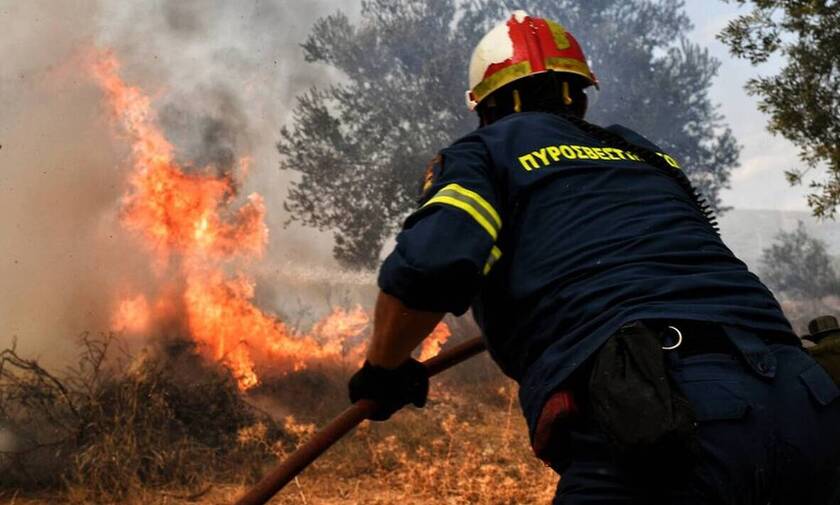 Φωτιά ΤΩΡΑ: Μεγάλη πυρκαγιά στη Βόρεια Εύβοια