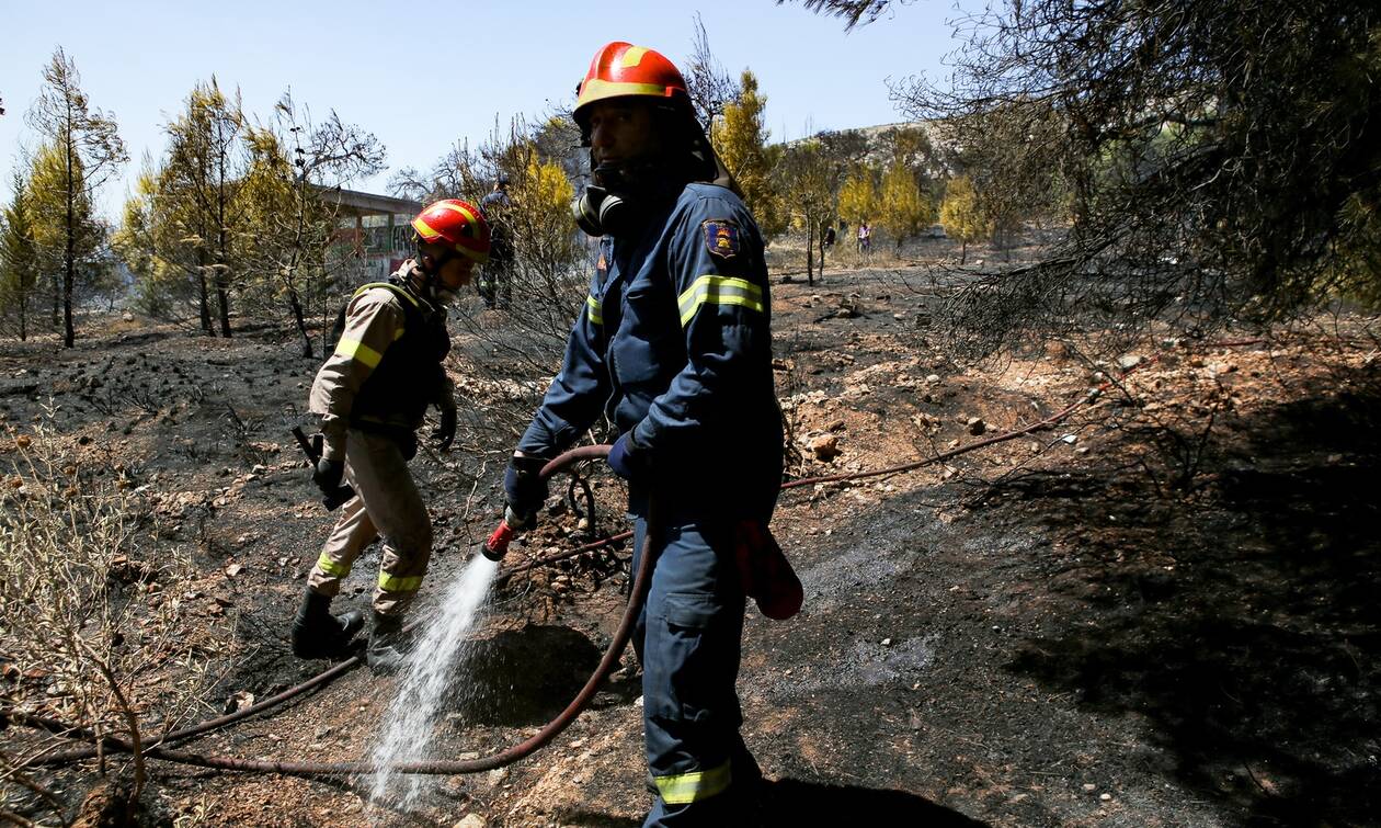 Φωτιά ΤΩΡΑ: Μεγάλη δασική πυρκαγιά στο Χιλιομόδι Κορινθίας