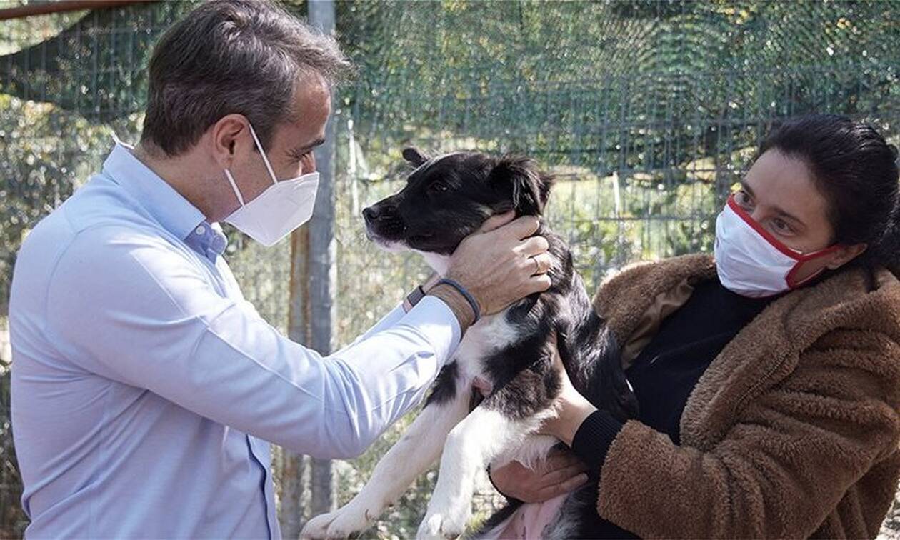 Παγκόσμια ημέρα αδέσποτων ζώων: Το καταφύγιο της Ηλιούπολης επισκέφθηκε ο Μητσοτάκης