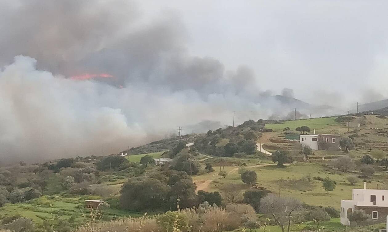 Φωτιά Άνδρος: Κάηκαν περισσότερα από 10.000 στρέμματα – Σε ύφεση το πύρινο μέτωπο