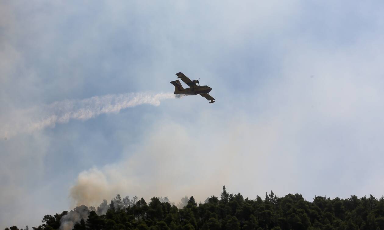 Φωτιά ΤΩΡΑ: Μεγάλη πυρκαγιά στο Άγιο Όρος