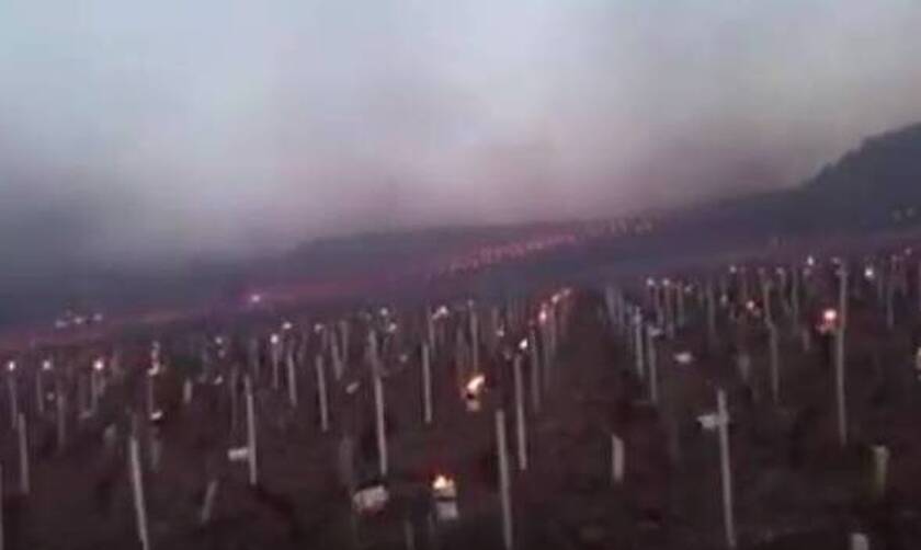 Γαλλία: Το ψύχος απειλεί καλλιέργειες και αμπελώνες- Άναψαν φωτιές για να σώσουν τη σοδειά (Vid)