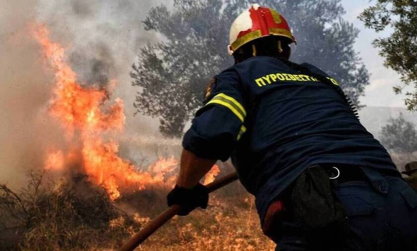 Φωτιά σε αγροτική περιοχή στην Ιεράπετρα - Ισχυροί άνεμοι πνέουν στην περιοχή