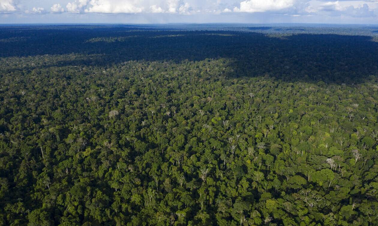 Τρομακτικά στοιχεία: Ο Αμαζόνιος εξέπεμψε περισσότερο διοξείδιο του άνθρακα από όσο απορρόφησε