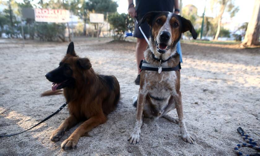 Κάτοικοι της Νέας Σμύρνης ζητούν από το ΣτΕ την κατάργηση του πάρκου σκύλων