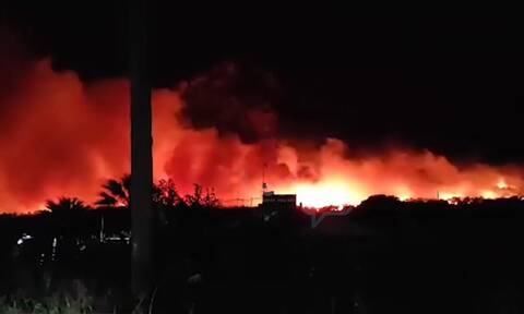 Φωτιά στο Σχίνο Κορινθίας: Ανεξέλεγκτη η πυρκαγιά - Ενισχύθηκαν οι δυνάμεις της Πυροσβεστικής