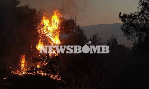 Φωτιά στην Κορινθία: Ανεξελέγκτο το μέτωπο - Εκκενώθηκαν οικισμοί, κάηκαν σπίτια