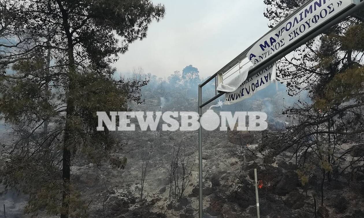 Φωτιά στην Κορινθία: «Φοβηθήκαμε για τη ζωή μας» - Μαρτυρία από τη Μαυρολίμνη στο Newsbomb.gr