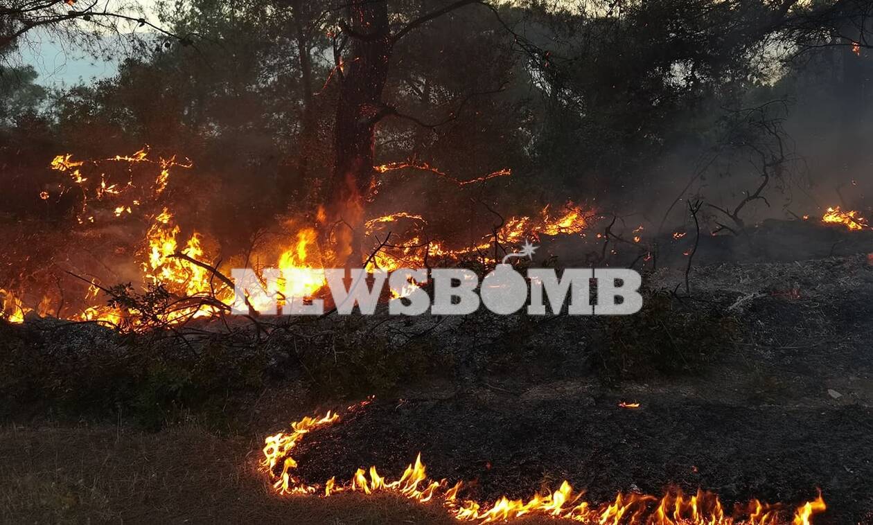 Φωτιά στην Κορινθία: Καίγεται παρθένο δάσος – Εκκενώθηκαν το Αλεποχώρι, 6 οικισμοί και δύο μονές