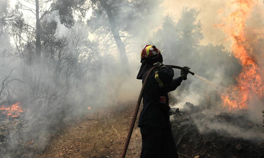 Φωτιά ΤΩΡΑ στην Κορινθία - Δήμαρχος Λουτρακίου στο Newsbomb.gr: «Τεράστιο το μέτωπο - Δεν μαζεύεται»