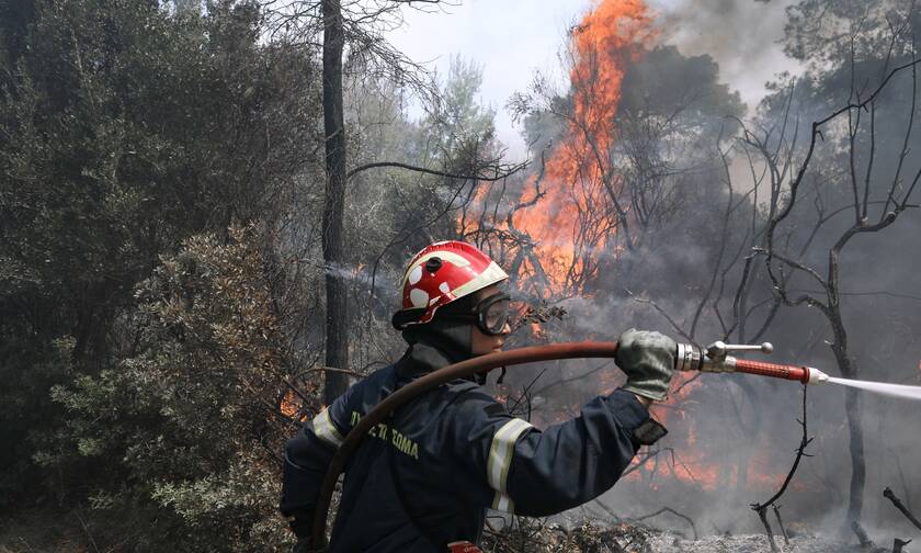Φωτιά ΤΩΡΑ: Βίντεο ντοκουμέντο από το Αλεποχώρι – Καίγονται σπίτια, δραματικές στιγμές