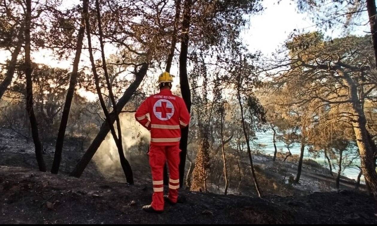 Ελληνικός Ερυθρός Σταυρός: Στο πλευρό των πυρόπληκτων - Σταθμός Πρώτων Βοηθειών στο Αλεποχώρι