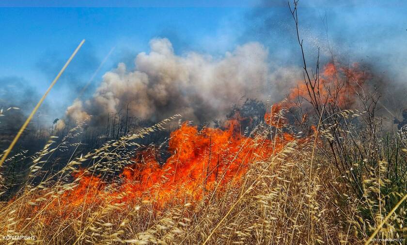 Φωτιά στην περιοχή Παλούκια στη Σαλαμίνα - Υπό έλεγχο τα μέτωπα σε Ηλεία, Αλεποχώρι