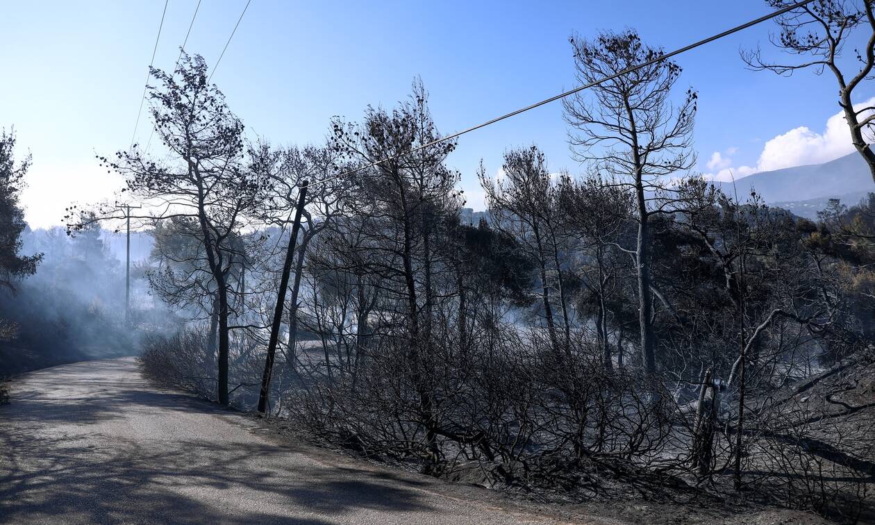 Φωτιά στα Γεράνεια Όρη: Ξεκινάει η αποτίμηση της καταστροφής - Πώς θα δοθούν οι αποζημιώσεις