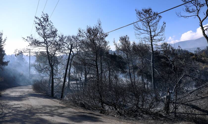 Φωτιά Γεράνεια Όρη: Στάχτη 71.000 στρέμματα - Εικόνες απόλυτης καταστροφής από drone