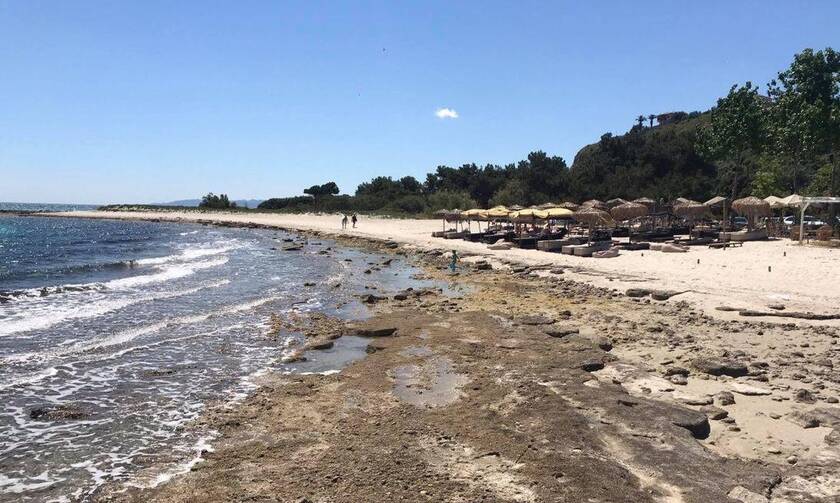 Χαλκιδική: Δεκάδες μέτρα μακριά από την παραλία βρίσκονται τα νερά