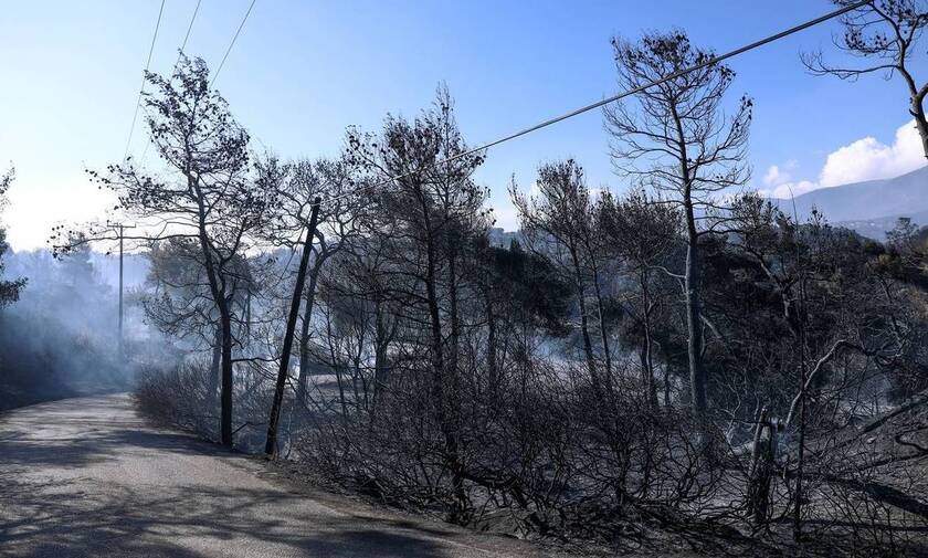 Φωτιά στα Γεράνεια Όρη: Σε ύφεση με διάσπαρτες εστίες – Τι λέει η Πυροσβεστική μετά την καταστροφή