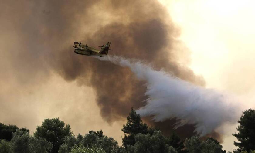 Υπό έλεγχο οι πυρκαγιές σε Λακωνία και Αρκαδία