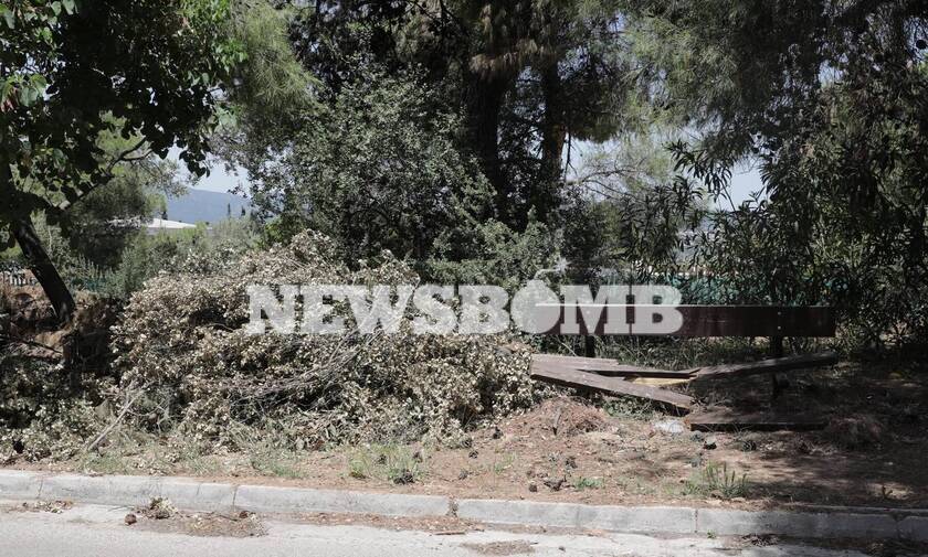 Ρεπορτάζ Newsbomb.gr στο Δήμο Κηφισιάς: Εικόνες ντροπής από τα σπασμένα κλαδιά - Τι λέει ο Δήμαρχος