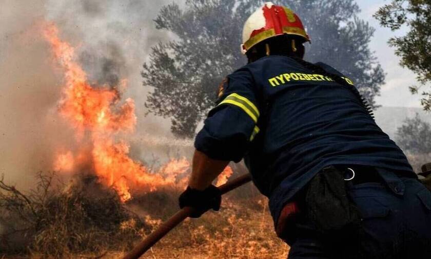Φωτιά ΤΩΡΑ στην Κερατέα: Κοντά στα σπίτια οι φλόγες - Εκκενώθηκε οικισμός
